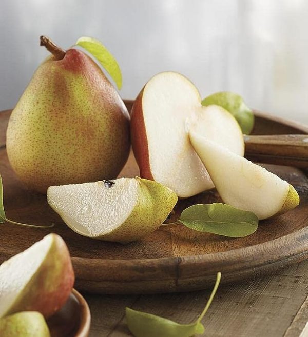 Harry & David Picnic Basket Pears, Cheese, Sausage & Crackers Gift Basket - Image 2